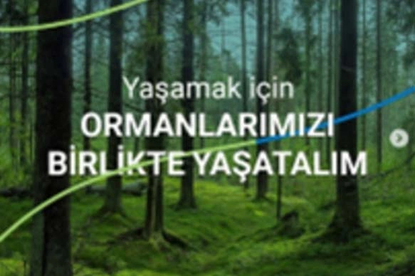 Hatıra Ormanı Ağaçlandırması