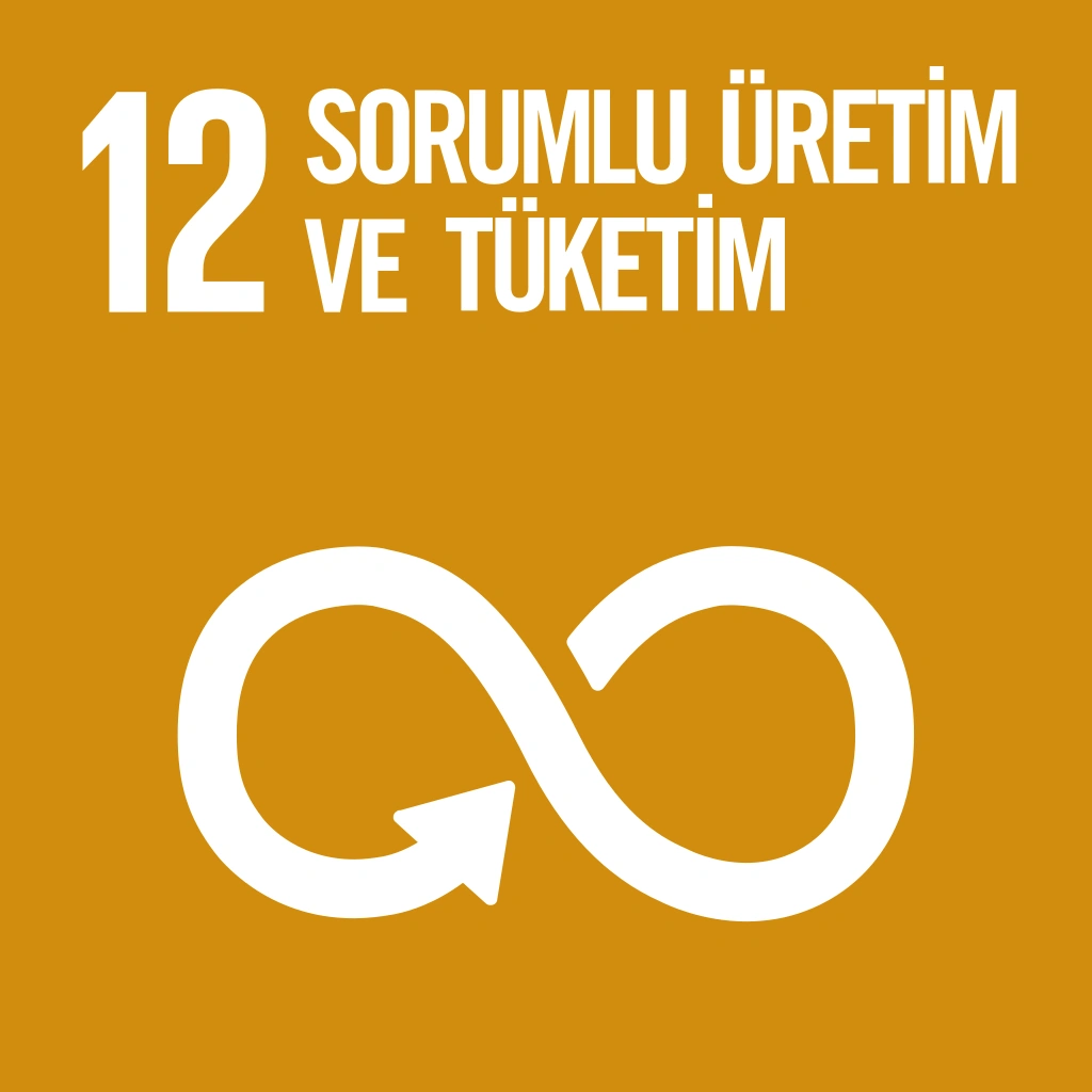 12- Sorumlu Üretim ve Tüketim