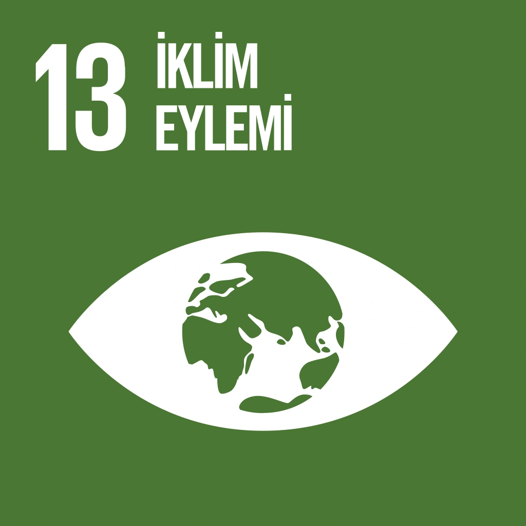 13- İklim Eylemi