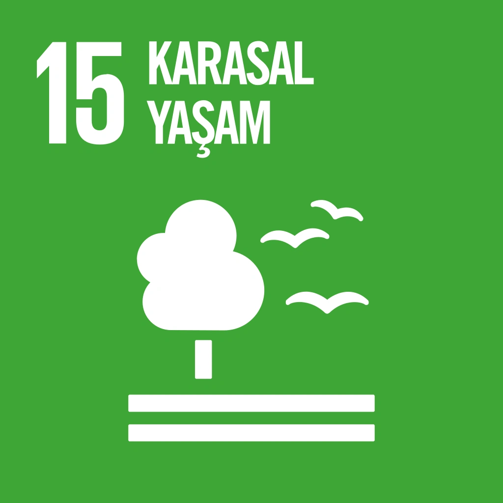 15- Karasal Yaşam