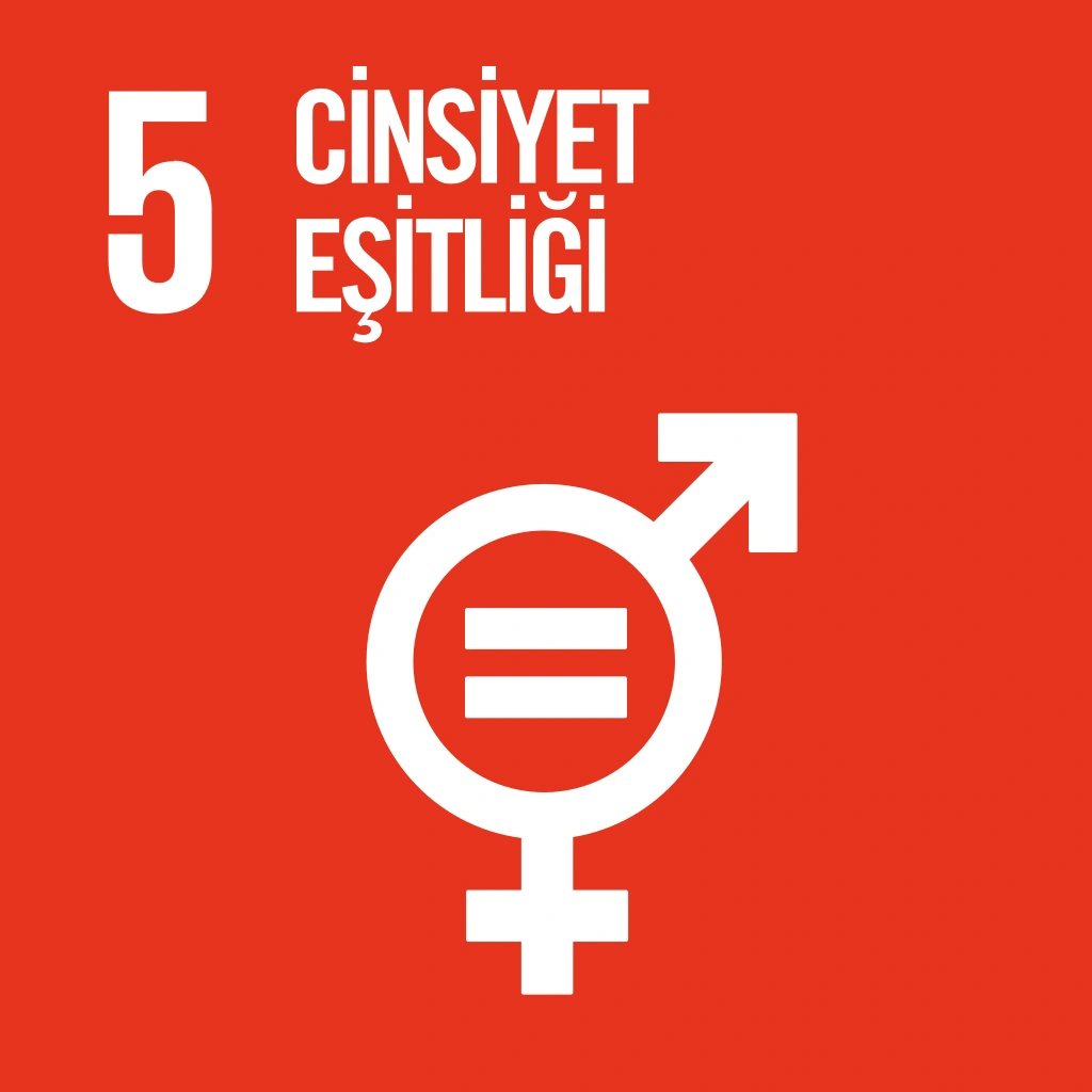 5- Cinsiyet Eşitliği