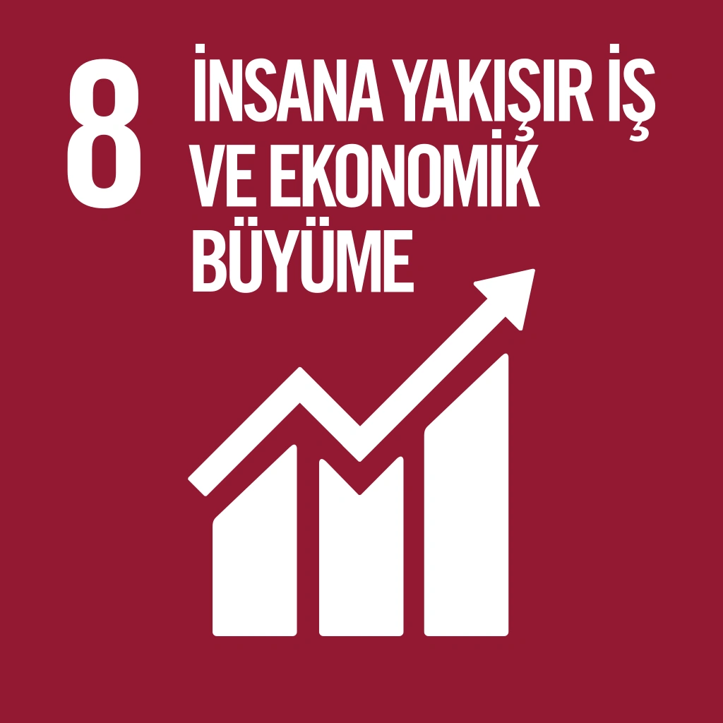8- İnsana yakışır iş ve ekonomik büyüme